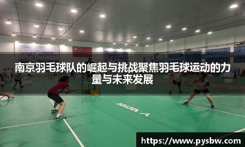 南京羽毛球队的崛起与挑战聚焦羽毛球运动的力量与未来发展