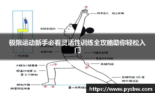 极限运动新手必看灵活性训练全攻略助你轻松入门